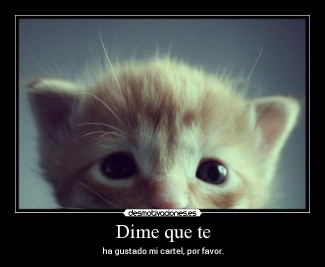 Dime que te - ha gustado mi cartel, por favor.