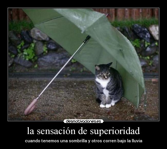 la sensación de superioridad - cuando tenemos una sombrilla y otros corren bajo la lluvia