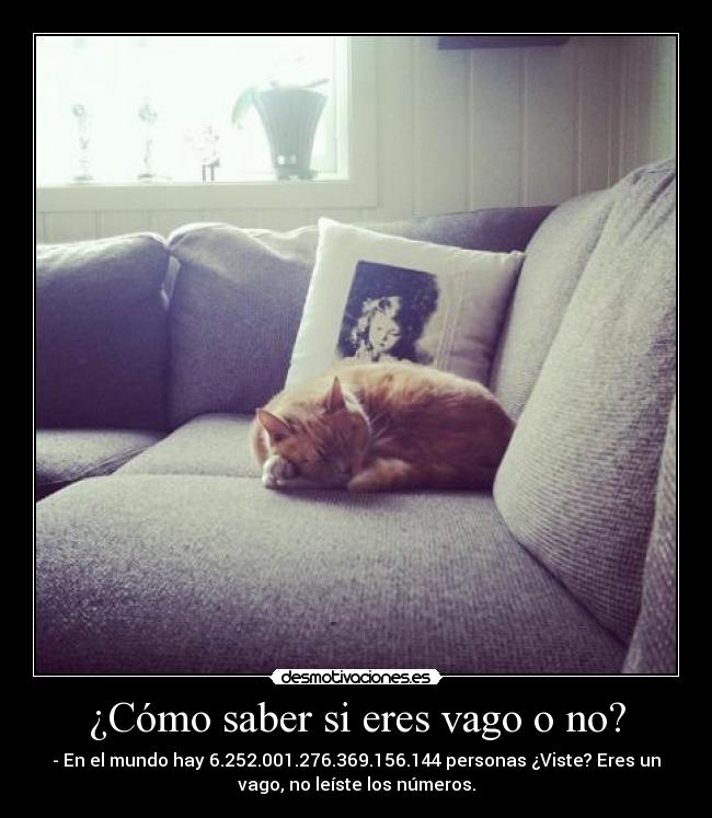 carteles noeliavigo desmotivaciones