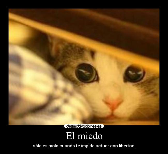 El miedo - sólo es malo cuando te impide actuar con libertad.