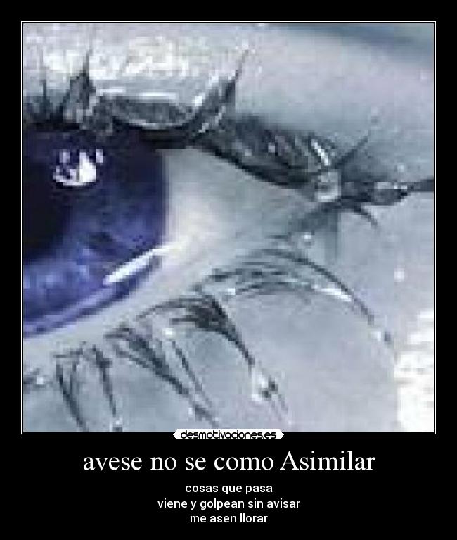 avese no se como Asimilar -