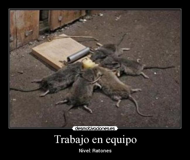 Trabajo en equipo -