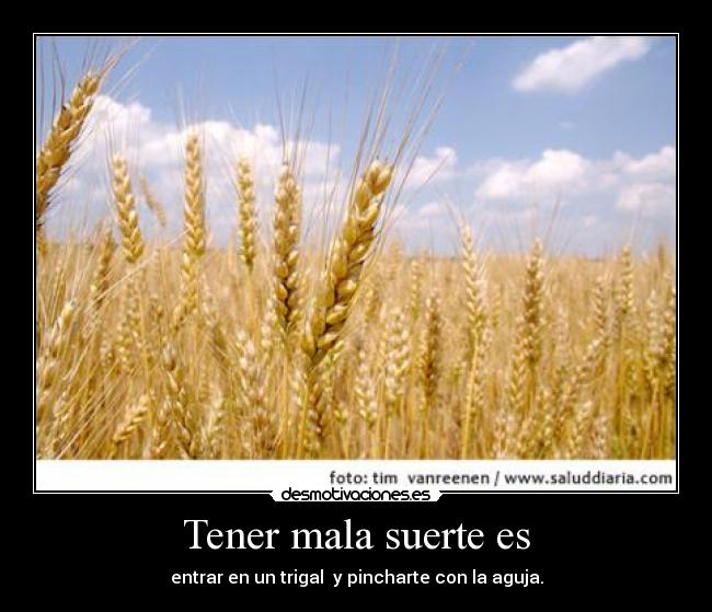 Tener mala suerte es - 