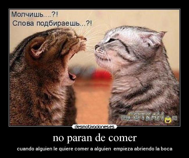 no paran de comer - cuando alguien le quiere comer a alguien empieza abriendo la boca