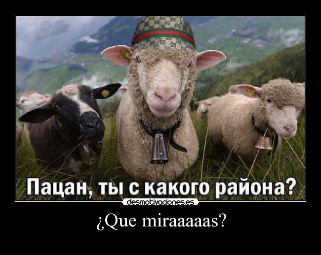 ¿Que miraaaaas? - 