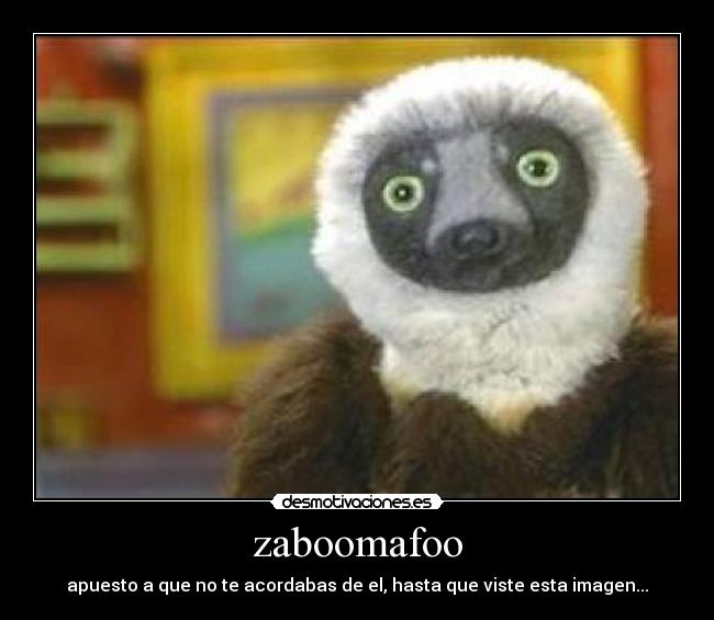 zaboomafoo - 