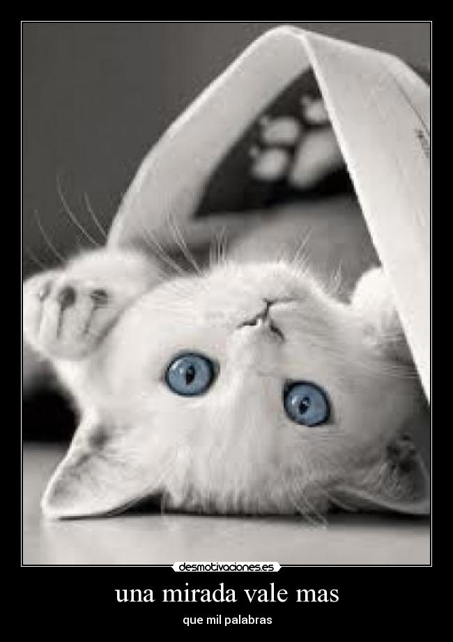 una mirada vale mas - que mil palabras