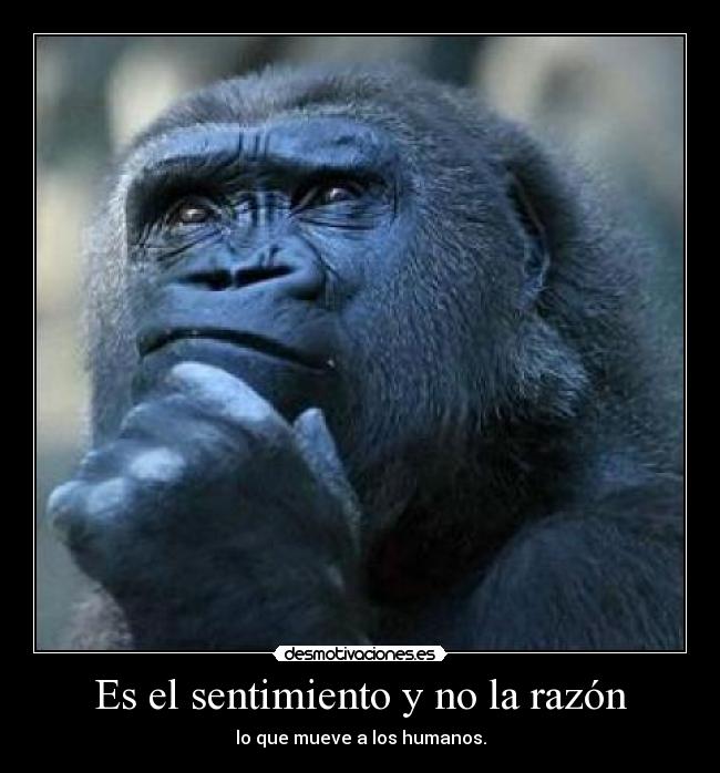Es el sentimiento y no la razón - lo que mueve a los humanos.