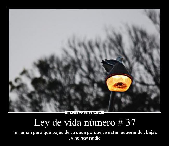 Ley de vida número # 37 - Te llaman para que bajes de tu casa porque te están esperando , bajas
, y no hay nadie