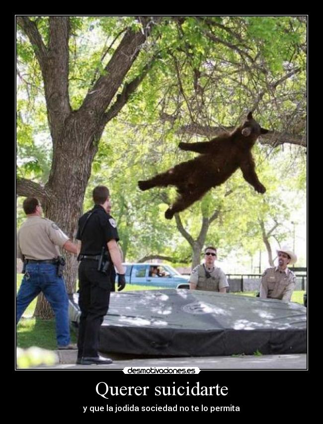 Querer suicidarte - 