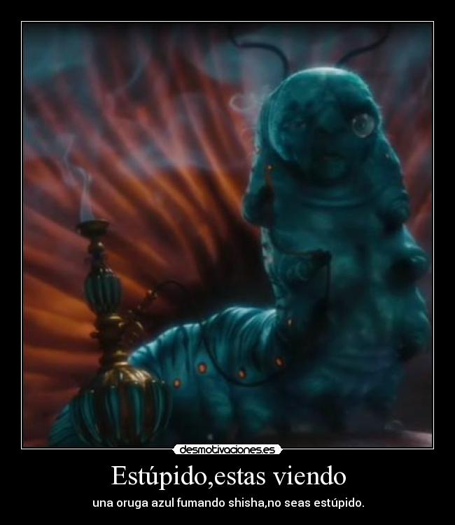 Estúpido,estas viendo - una oruga azul fumando shisha,no seas estúpido.
