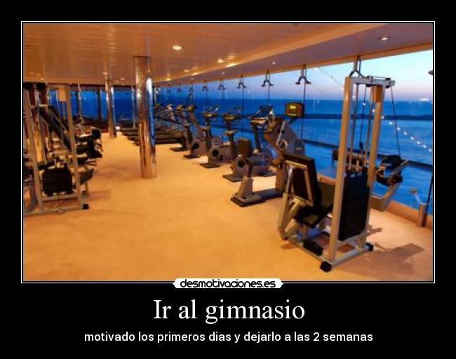 Ir al gimnasio -