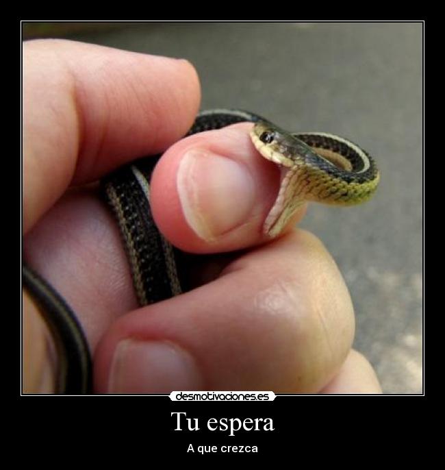 Tu espera - A que crezca