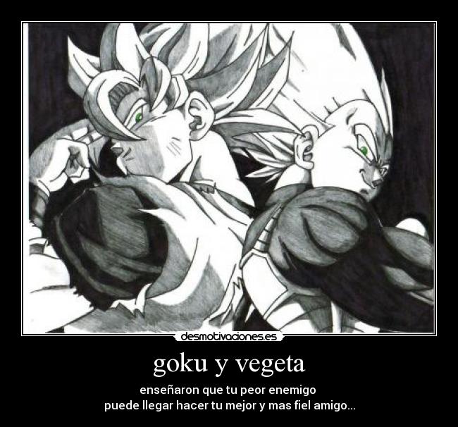 goku y vegeta -