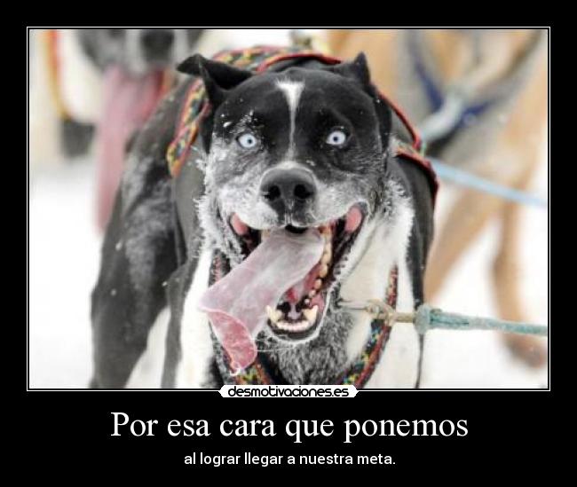 Por esa cara que ponemos - al lograr llegar a nuestra meta.