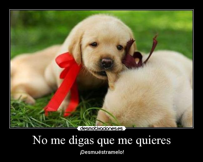 No me digas que me quieres - ¡Desmuéstramelo!