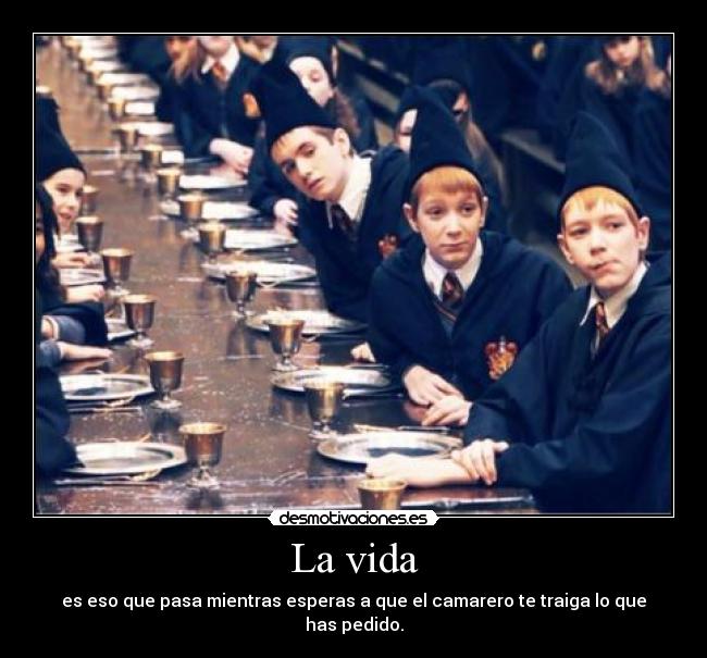 carteles vida vida esperar lol fred george weasley oliver wood lee tambien esta por ahi foreverclarinetista desmotivaciones