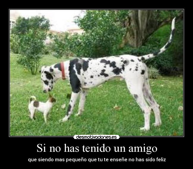Si no has tenido un amigo - que siendo mas pequeño que tu te enseñe no has sido feliz