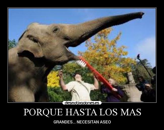 PORQUE HASTA LOS MAS -