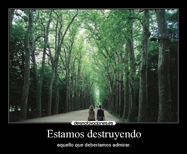 Estamos destruyendo -