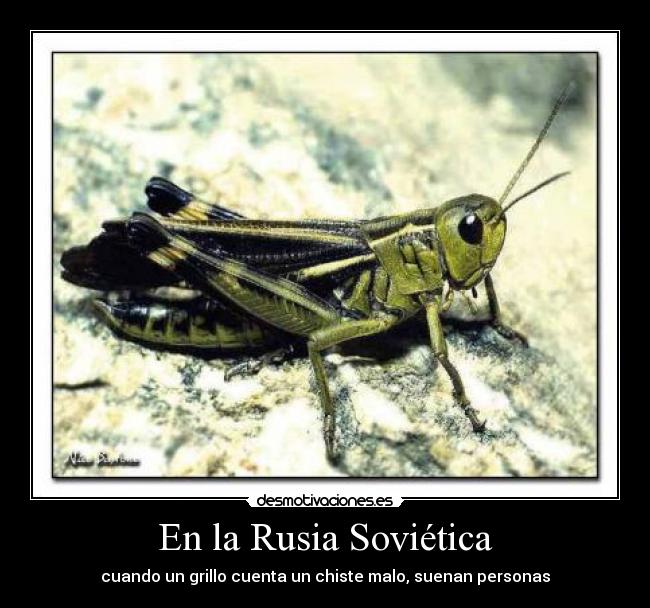 En la Rusia Soviética -