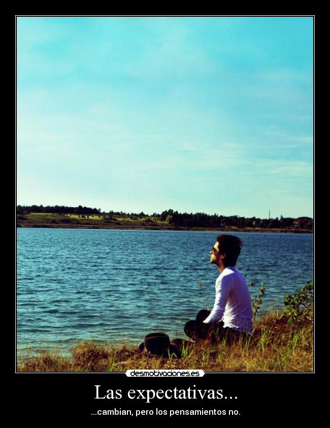 Las expectativas... -