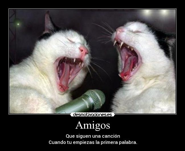 Amigos -