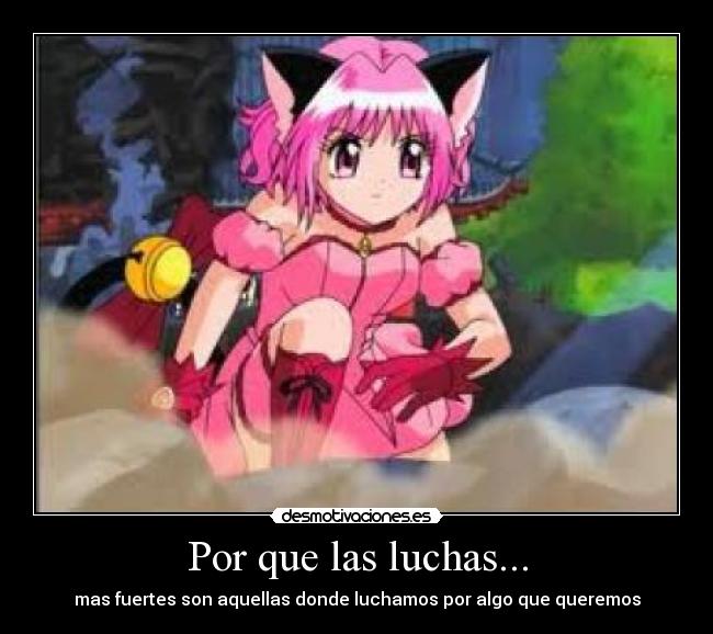 carteles ichigo momomiya tokyo mew power luchas querer desmotivaciones