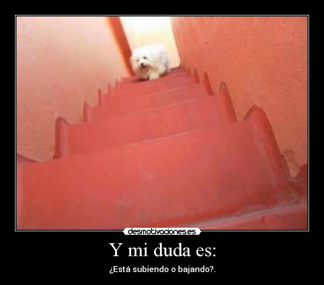 Y mi duda es: - ¿Está subiendo o bajando?.