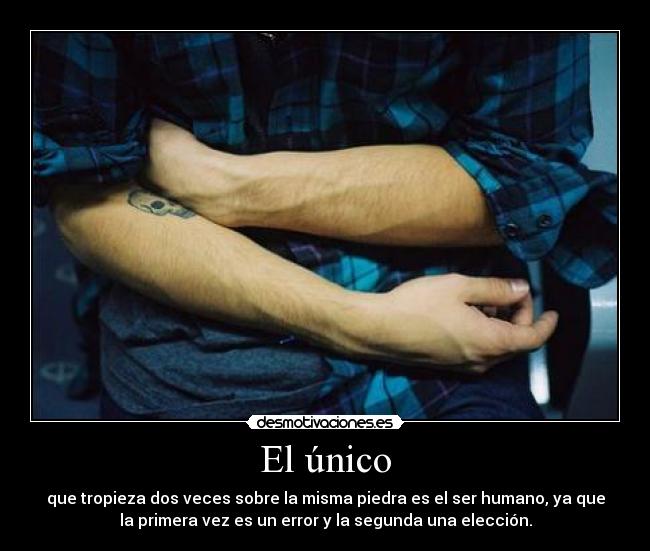 El único - que tropieza dos veces sobre la misma piedra es el ser humano, ya que
la primera vez es un error y la segunda una elección.