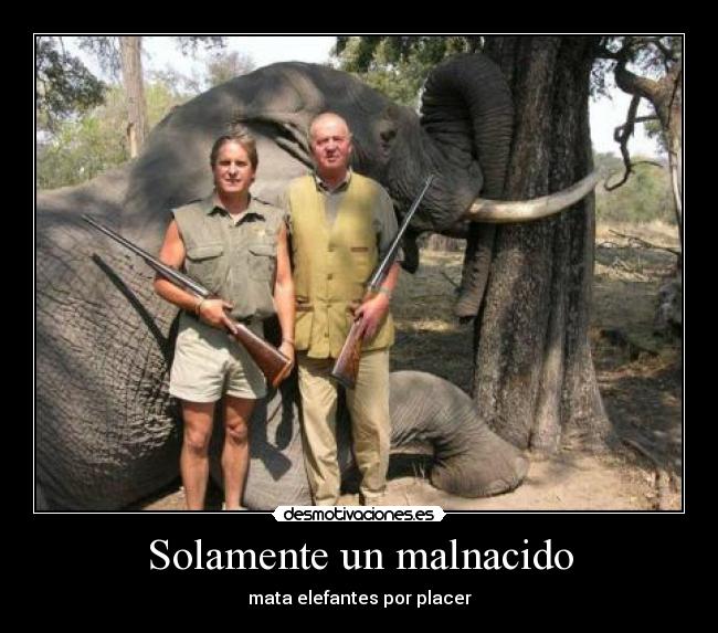 Solamente un malnacido - 