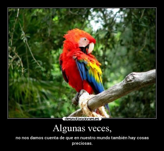 Algunas veces, - no nos damos cuenta de que en nuestro mundo también hay cosas preciosas.