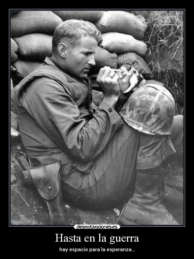 Hasta en la guerra -