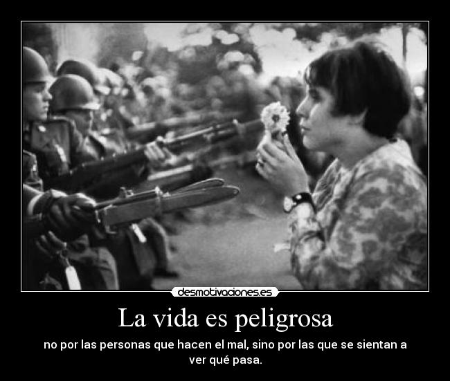 La vida es peligrosa - 