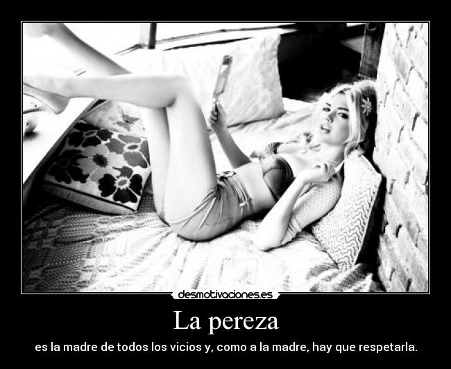 carteles chica perezosa pereza desmotivaciones