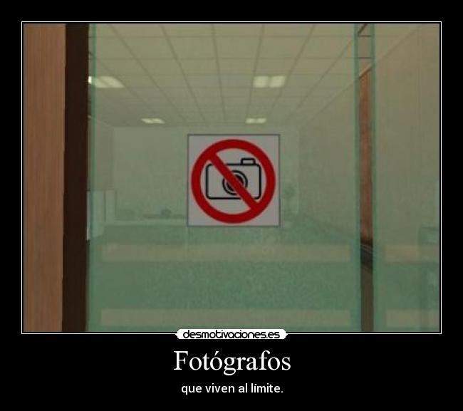 Fotógrafos - 