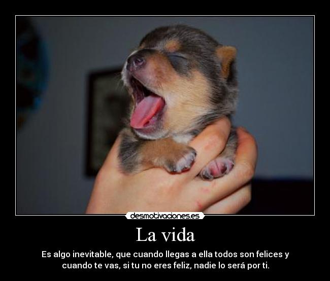 La vida - Es algo inevitable, que cuando llegas a ella todos son felices y
cuando te vas, si tu no eres feliz, nadie lo será por ti.