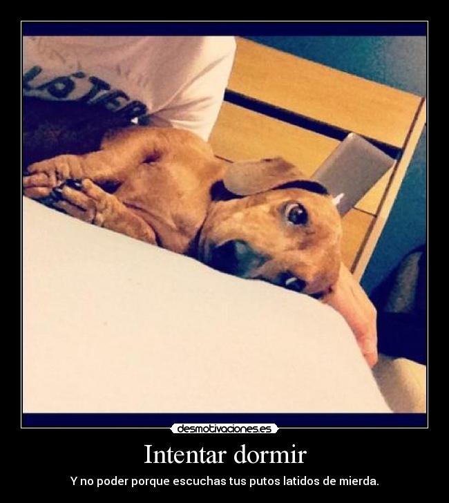 Intentar dormir - Y no poder porque escuchas tus putos latidos de mierda.