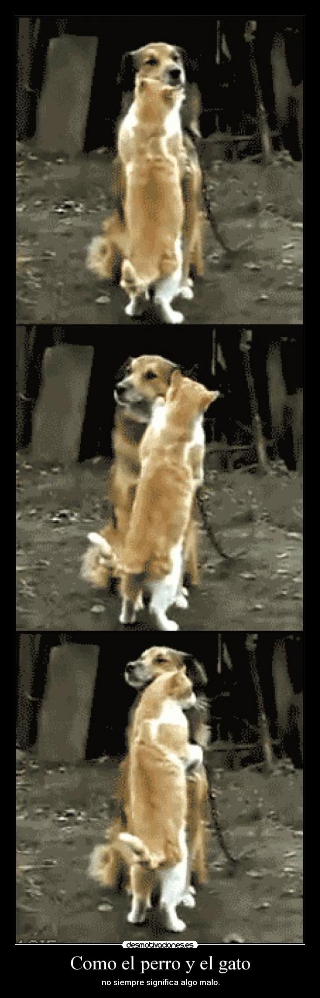 Como el perro y el gato - no siempre significa algo malo.
