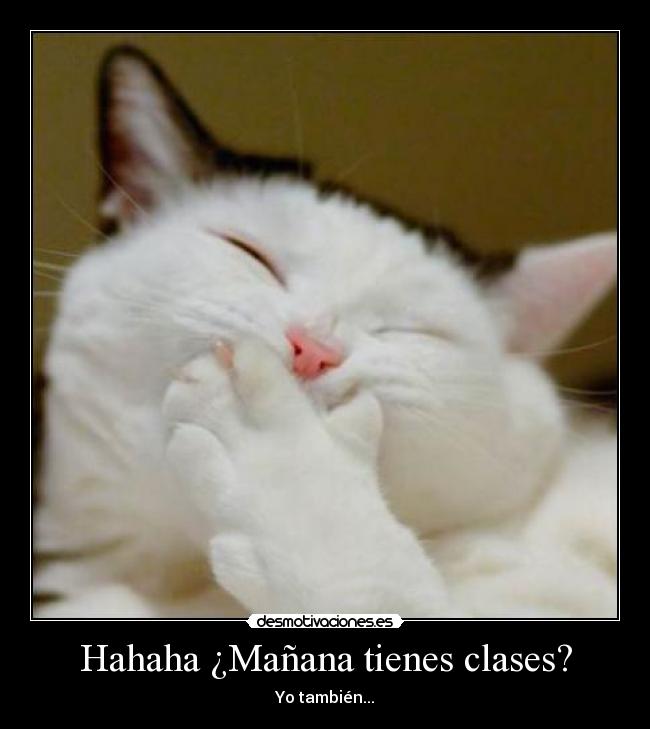 Hahaha ¿Mañana tienes clases? - Yo también...