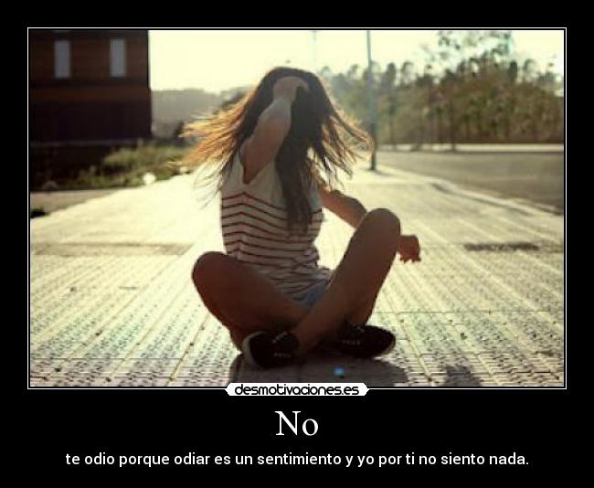 No - te odio porque odiar es un sentimiento y yo por ti no siento nada.