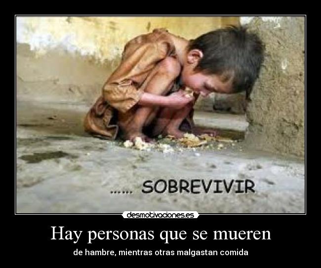 Hay personas que se mueren - de hambre, mientras otras malgastan comida