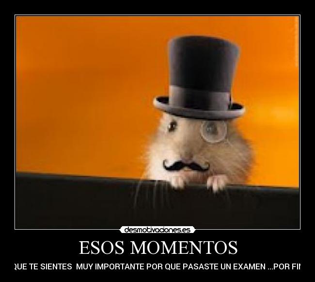 carteles alex desmotivaciones