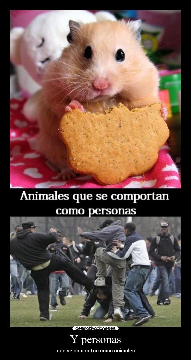 carteles anaa197 animales personas personas animales desmotivaciones