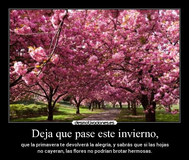 Deja que pase este invierno, - que la primavera te devolverá la alegría, y sabrás que si las hojas
no cayeran, las flores no podrían brotar hermosas.