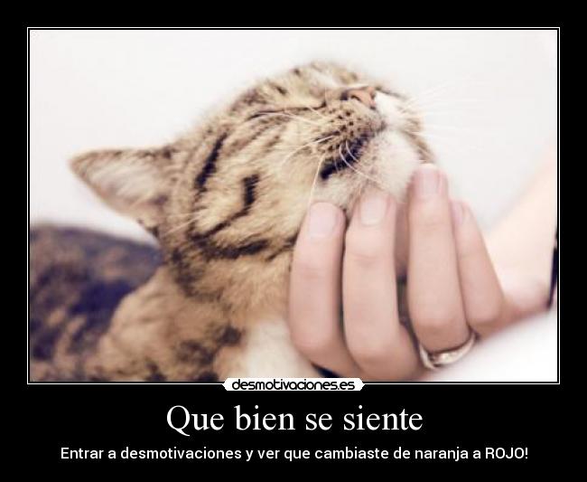 Que bien se siente -