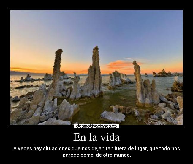 En la vida -