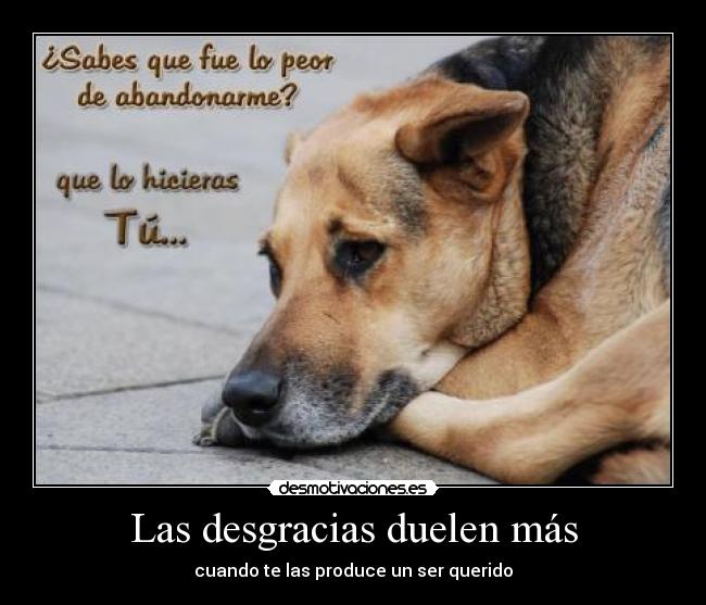 Las desgracias duelen más - 