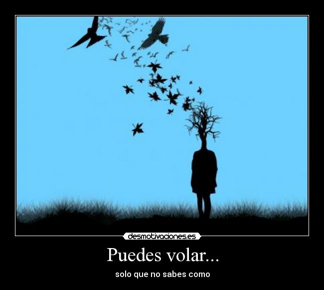 Puedes volar... -