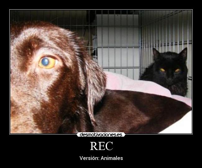 REC - Versión: Animales